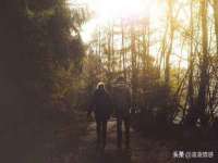 宁夏贝斯特科贸有限公司