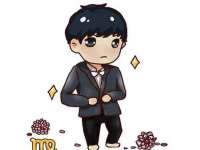 宁夏贝斯特科贸有限公司
