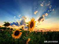 宁夏贝斯特科贸有限公司