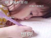 宁夏贝斯特科贸有限公司
