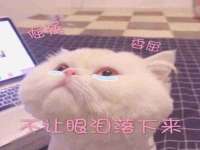 宁夏贝斯特科贸有限公司