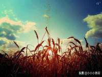 宁夏贝斯特科贸有限公司