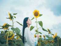 宁夏贝斯特科贸有限公司