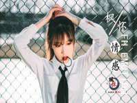 宁夏贝斯特科贸有限公司