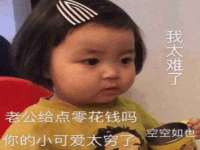 宁夏贝斯特科贸有限公司