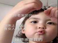 宁夏贝斯特科贸有限公司