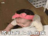 宁夏贝斯特科贸有限公司