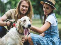 宁夏贝斯特科贸有限公司