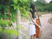 宁夏贝斯特科贸有限公司