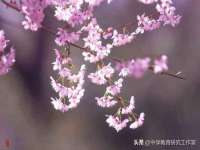宁夏贝斯特科贸有限公司