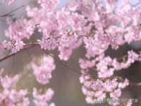宁夏贝斯特科贸有限公司