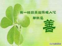 宁夏贝斯特科贸有限公司