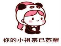 宁夏贝斯特科贸有限公司