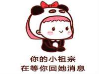 宁夏贝斯特科贸有限公司