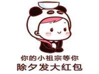 宁夏贝斯特科贸有限公司