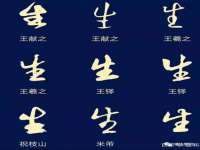 宁夏贝斯特科贸有限公司