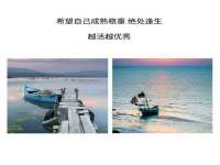 宁夏贝斯特科贸有限公司
