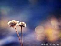 宁夏贝斯特科贸有限公司