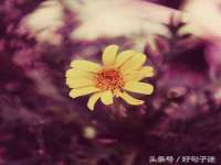 宁夏贝斯特科贸有限公司