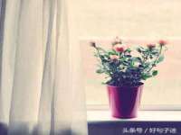 宁夏贝斯特科贸有限公司
