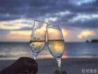 宁夏贝斯特科贸有限公司