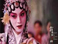 宁夏贝斯特科贸有限公司