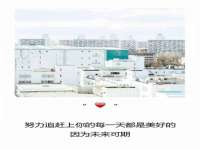 宁夏贝斯特科贸有限公司