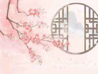 宁夏贝斯特科贸有限公司