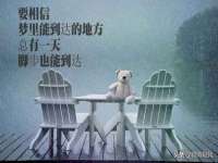 宁夏贝斯特科贸有限公司