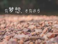 宁夏贝斯特科贸有限公司