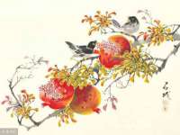 宁夏贝斯特科贸有限公司