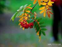 宁夏贝斯特科贸有限公司