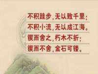 宁夏贝斯特科贸有限公司