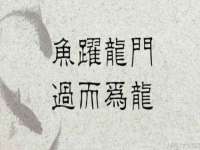 宁夏贝斯特科贸有限公司