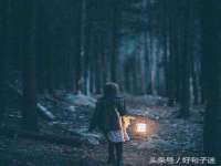 宁夏贝斯特科贸有限公司