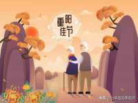宁夏贝斯特科贸有限公司