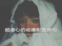 宁夏贝斯特科贸有限公司