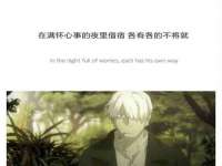 宁夏贝斯特科贸有限公司