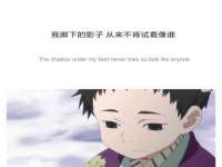 宁夏贝斯特科贸有限公司