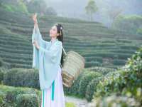 宁夏贝斯特科贸有限公司