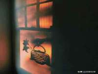 宁夏贝斯特科贸有限公司