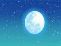 宁夏贝斯特科贸有限公司