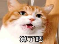 宁夏贝斯特科贸有限公司