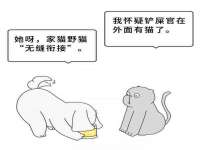 宁夏贝斯特科贸有限公司