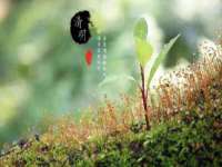 宁夏贝斯特科贸有限公司