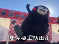 宁夏贝斯特科贸有限公司