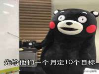宁夏贝斯特科贸有限公司