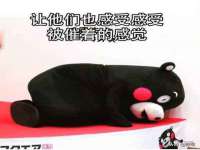 宁夏贝斯特科贸有限公司