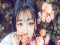 宁夏贝斯特科贸有限公司