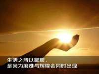 宁夏贝斯特科贸有限公司